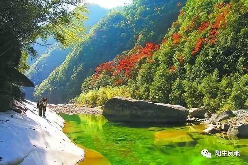 如果在网上提问问题，碰到有人骂你的情况，你会怎么办？游戏画面